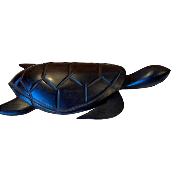 Ironwood Turtle. - Picture 2 of 10